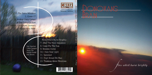 Fires Which Burnt Brightly